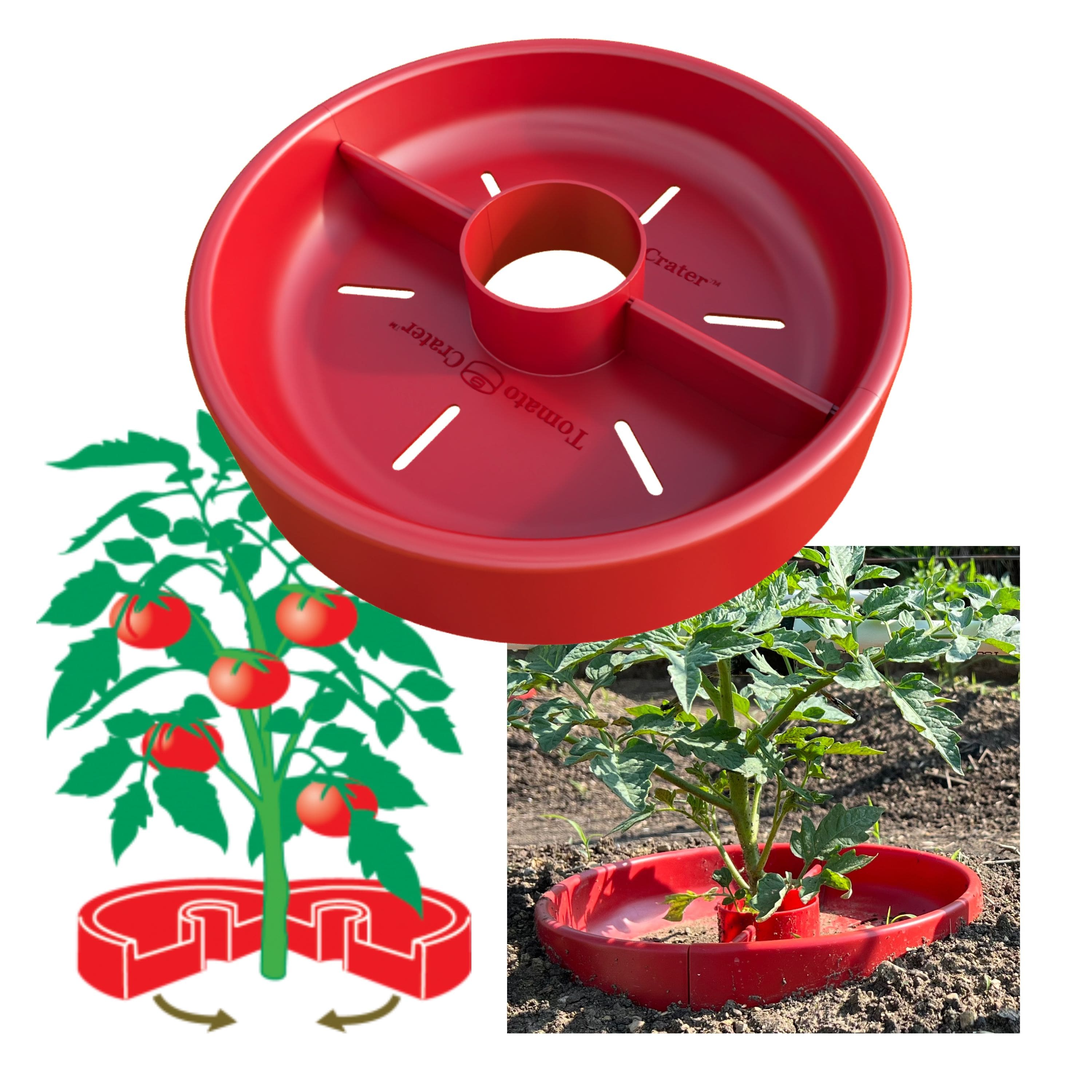 Tomato Crater 12 in Garden Watering Tool, Single - Image 1